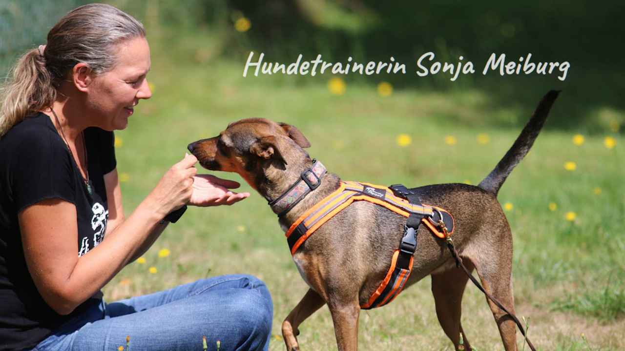 Hundetrainerin Sonja Meigurg